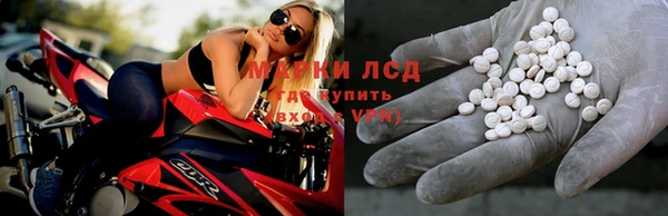 винт Инта