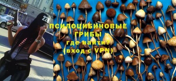 шишки Иннополис