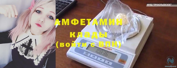 шишки Иннополис