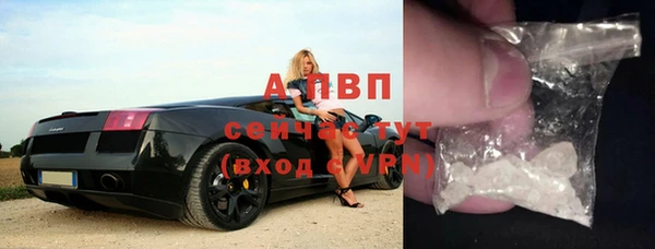 винт Инта