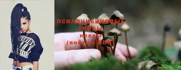 винт Инта