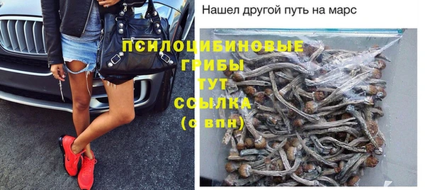 винт Инта