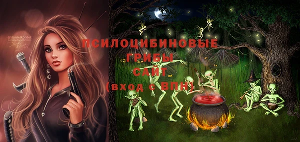 ALPHA-PVP Инсар