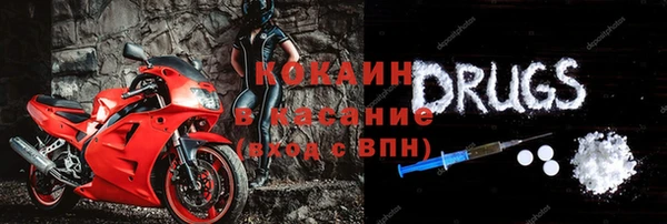 шишки Иннополис