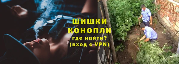 ALPHA-PVP Инсар